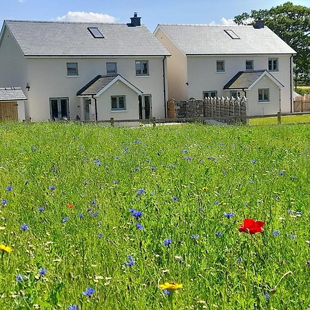 Brecon Beacons Cottage With Stunning Country Views Myddfai Ngoại thất bức ảnh