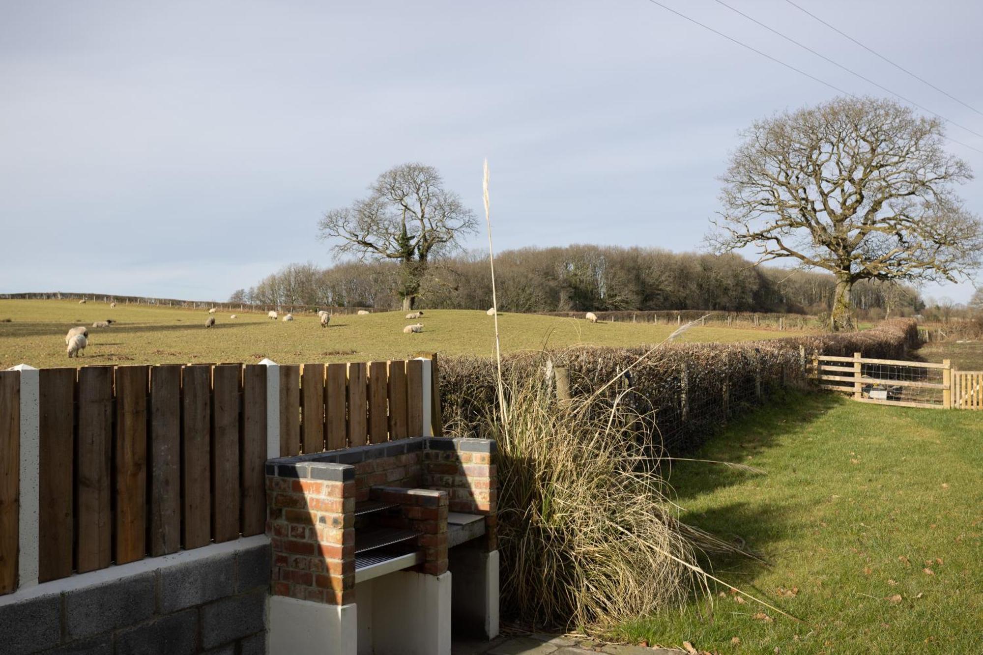 Brecon Beacons Cottage With Stunning Country Views Myddfai Ngoại thất bức ảnh