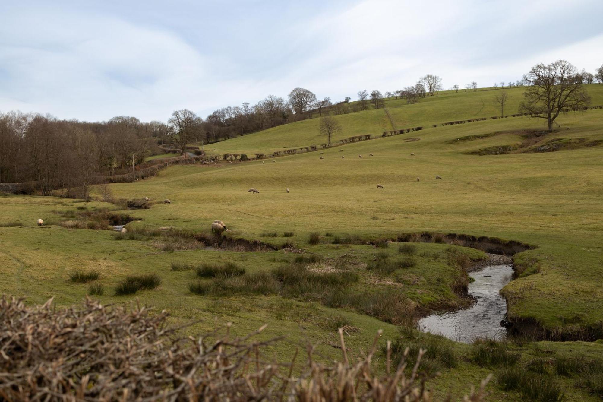 Brecon Beacons Cottage With Stunning Country Views Myddfai Ngoại thất bức ảnh