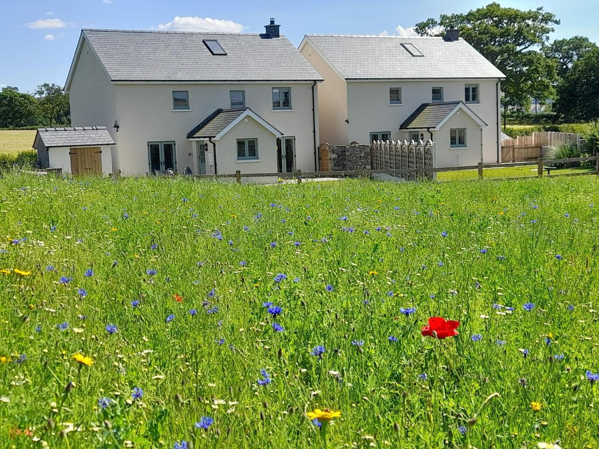 Brecon Beacons Cottage With Stunning Country Views Myddfai Ngoại thất bức ảnh